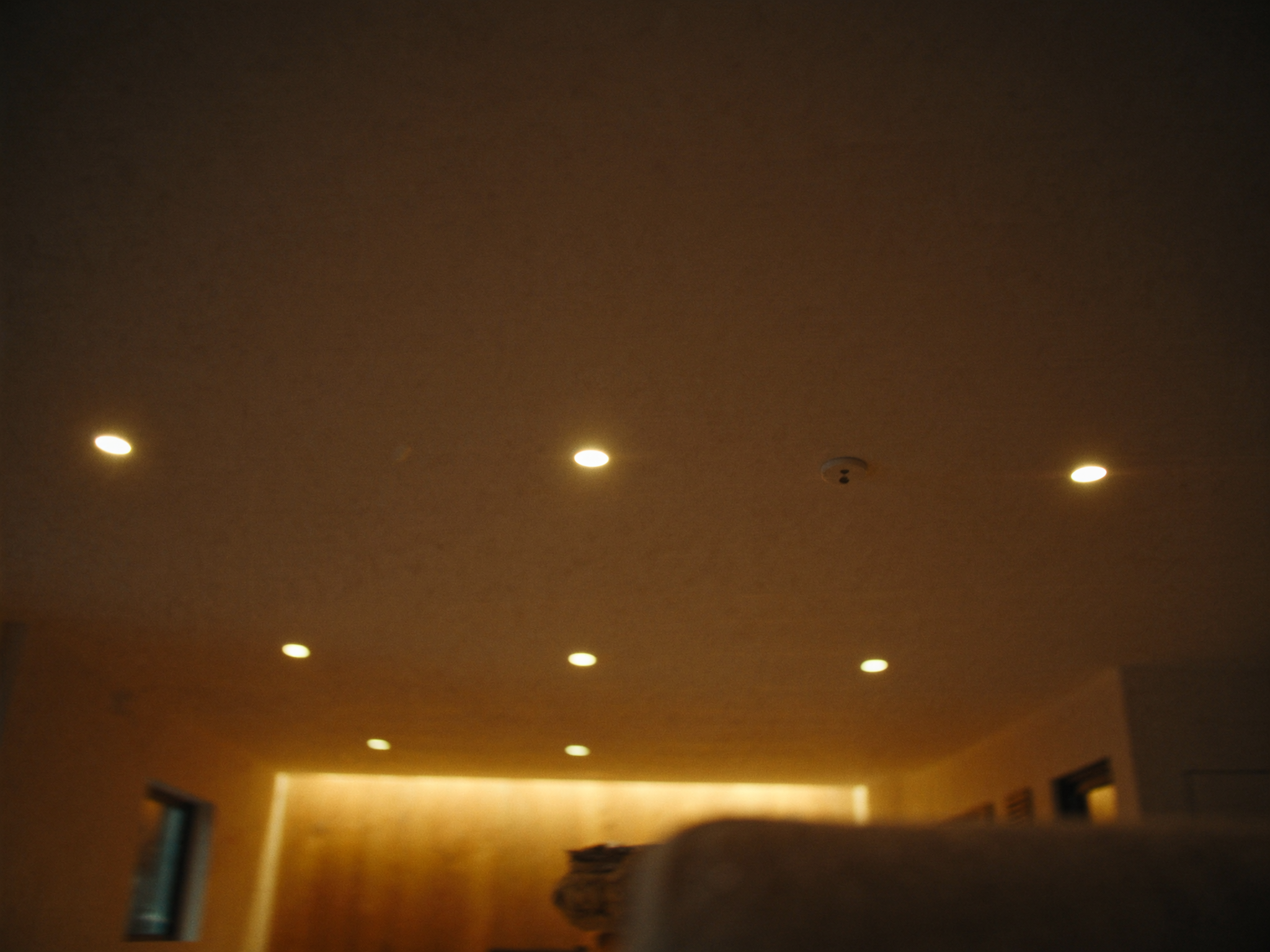 Whole-home lighting — Downlights and smoke alarms, whole house